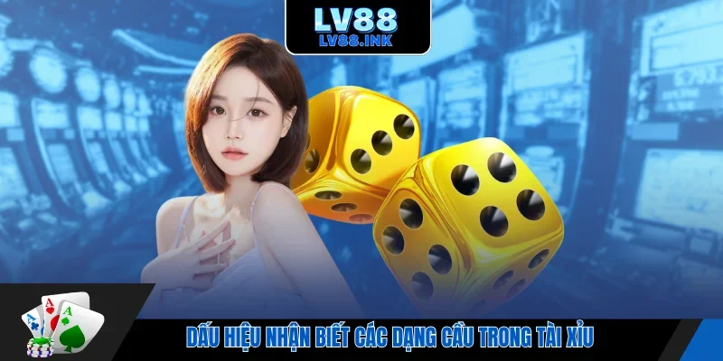 Dấu hiệu nhận biết các dạng cầu trong tài xỉu