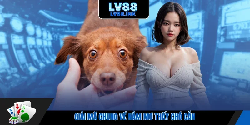 Giải mã chung về nằm mơ thấy chó cắn