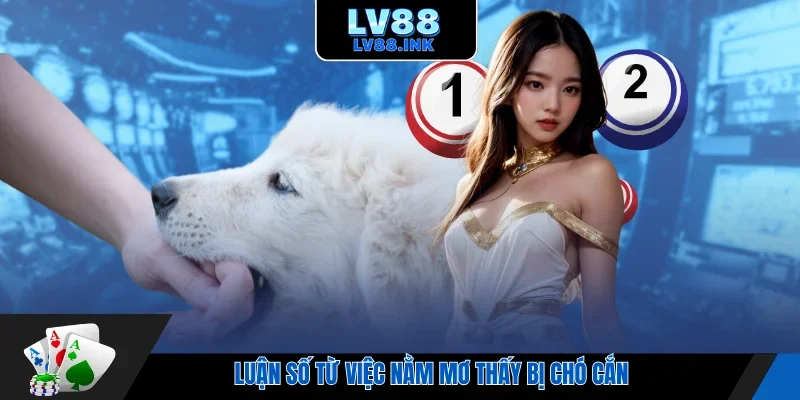 Luận số từ việc nằm mơ thấy bị chó cắn